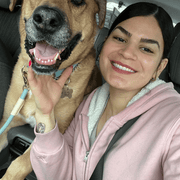 Angie C., Pet Care Provider in Kearny, NJ with 6 years paid experience