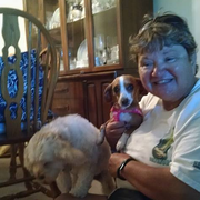 Mary Beth W., Pet Care Provider in Miamisburg, OH 45342 with 3 years paid experience