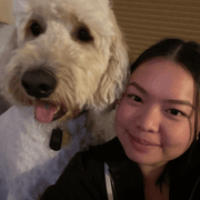 Paige L., Babysitter in San Diego, CA with 1 year paid experience