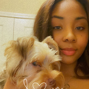 Damiah M., Pet Care Provider in Raleigh, NC 27616 with 1 year paid experience