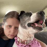 Katelyn C., Pet Care Provider in West Babylon, NY with 3 years paid experience