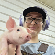 Emily S., Babysitter in 65203 with 1 year of paid experience