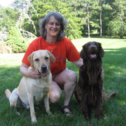 Karin S., Pet Care Provider in Fox Point, WI with 10 years paid experience