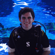 Donovan K., Pet Care Provider in Phoenixville, PA with 1 year paid experience