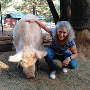 Darcy Z., Pet Care Provider in Vallecito, CA 95251 with 1 year paid experience