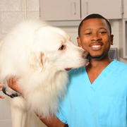 Brandon A., Pet Care Provider in Raleigh, NC 27606 with 3 years paid experience