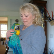 Debbie N., Pet Care Provider in Shawano, WI 54166 with 1 year paid experience