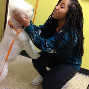 Chinyere O., Pet Care Provider in Hyattsville, MD 20781 with 1 year paid experience