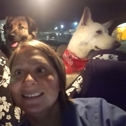Tiffany B. - Petersburg Pet Care Provider
