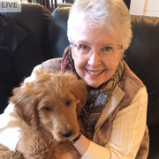 Cheryl P. - Hastings <span class="translation_missing" title="translation missing: en.application.care_types.child_care">Child Care</span>