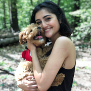 Muskan K., Pet Care Provider in Sterling, VA with 10 years paid experience