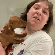 Morgan H., Babysitter in Churchville, VA 24421 with 2 years of paid experience