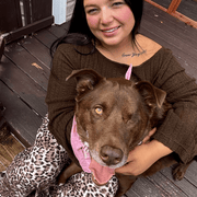 Sarah A., Babysitter in Virginia Beach, VA with 5 years paid experience