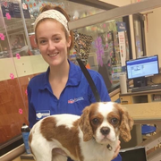 Taylor R., Babysitter in Haverhill, MA with 3 years paid experience