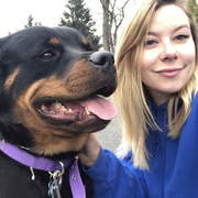 Nikki C., Pet Care Provider in Danbury, CT with 5 years paid experience