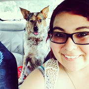 Brittany A., Pet Care Provider in Rockport, TX 78382 with 1 year paid experience