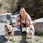 Sarah C., Pet Care Provider in New York, NY with 9 years paid experience