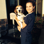 Lauren D., Pet Care Provider in Canyon Country, CA 91351 with 3 years paid experience