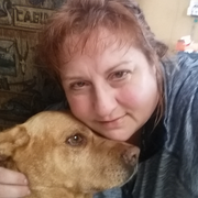 Kristen K., Pet Care Provider in Stratford, WI 54484 with 2 years paid experience