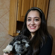 Lizet V., Babysitter in North Las Vegas, NV 89031 with 3 years of paid experience