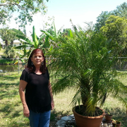 Sharon M., Pet Care Provider in North Fort Myers, FL 33917 with 7 years paid experience