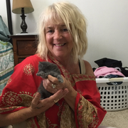 Joyce L., Pet Care Provider in Bradenton, FL with 2 years paid experience