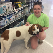 Courtney S., Pet Care Provider in Youngsville, NC 27596 with 20 years paid experience