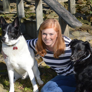Brandi T., Pet Care Provider in Radcliff, KY 40160 with 3 years paid experience