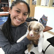 Johanna C., Pet Care Provider in Indiantown, FL with 2 years paid experience