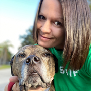 Korene S., Pet Care Provider in New Port Richey, FL with 6 years paid experience