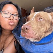 Airelyne E., Pet Care Provider in Costa Mesa, CA with 0 years paid experience