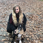 Amber M., Pet Care Provider in Attleboro, MA with 2 years paid experience
