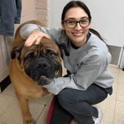 Gia P., Pet Care Provider in Melrose Park, IL with 9 years paid experience