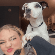 Kyrsten D., Babysitter in Charlotte, NC with 5 years paid experience
