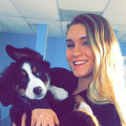 Hannah S., Pet Care Provider in Rockledge, FL with 15 years paid experience