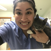 Karina M., Pet Care Provider in Kelso, WA with 8 years paid experience