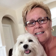 Pattie B., Pet Care Provider in Murrells Inlet, SC 29576 with 10 years paid experience