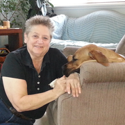 Judy T., Care Companion in Saint Louis, MO 63117 with 5 years paid experience