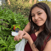 Vanessa V., Babysitter in 95030 with 1 year of paid experience
