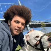 Zjaeriq S., Pet Care Provider in New York, NY with 3 years paid experience