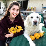 Jillian B. - Redding Pet Care Provider