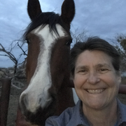 Deborah K., Pet Care Provider in Hamlin, TX 79520 with 10 years paid experience