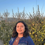 Kathy S., Babysitter in 95819 with 4 years of paid experience