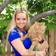 Evie R. - Colorado Springs Babysitter