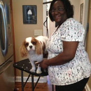 Kimberly B., Pet Care Provider in Dunellen, NJ 08812 with 5 years paid experience