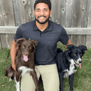 Bridgeport T., Pet Care Provider in Hermitage, TN with 2 years paid experience