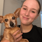 Sydney W., Pet Care Provider in New Bedford, MA with 0 years paid experience
