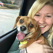 Abigail T., Pet Care Provider in Mooresville, NC 28117 with 7 years paid experience
