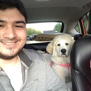 Liam R., Pet Care Provider in Palmer, AK with 2 years paid experience