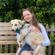 Hannah B., Pet Care Provider in Pittsboro, NC with 4 years paid experience